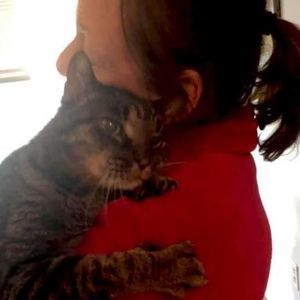 Meet your Posher, Dinah